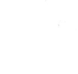 Novak Logo
